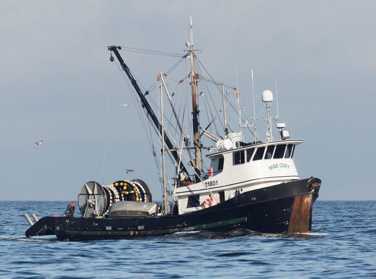 Investigation results released after fatal herring boat sinking