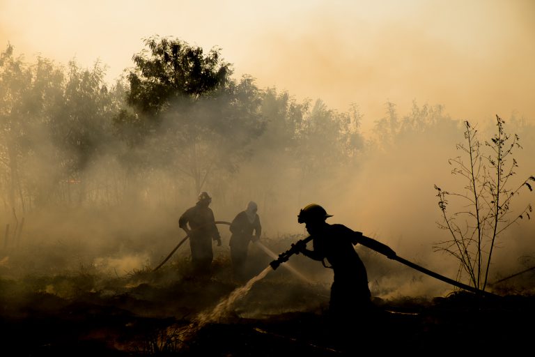 BC declares state of emergency as wildfires spread