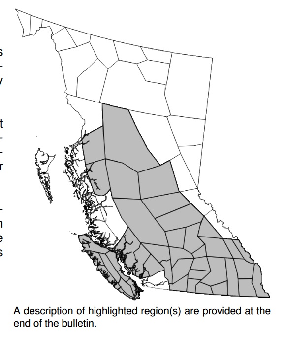 Smoky skies bulletin issued as fires continue to burn