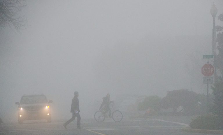 Foggy days ahead across North Island