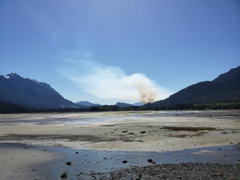 Fire near Sayward 30% contained: Coastal Fire Centre