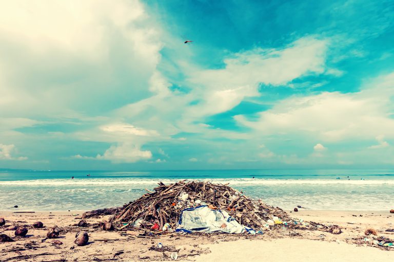 BC Ferries taking part in Canada wide beach cleanup