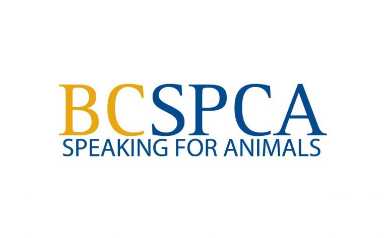 BC SPCA shelters restricting public access