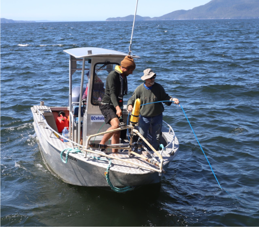 Whale project aims to educate importance of sound to BCers