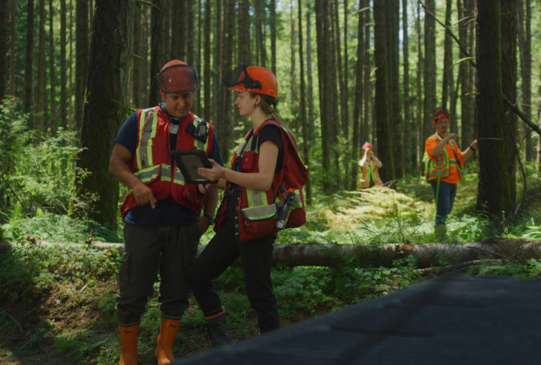 North Island College offering new Coastal Forestry program this fall