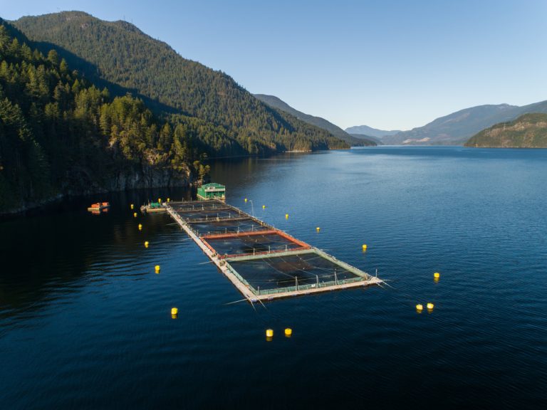 Grieg Seafood achieves multi-site ASC certification for Sunshine Coast farms