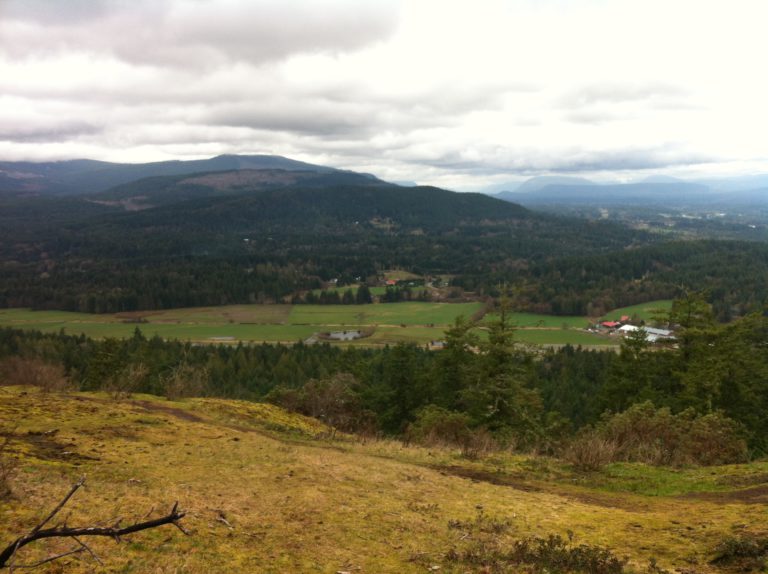 New provincial plan helping Vancouver Island farmers adapt to climate change