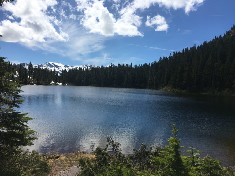 New provincial program offers young people work experience with BC Parks