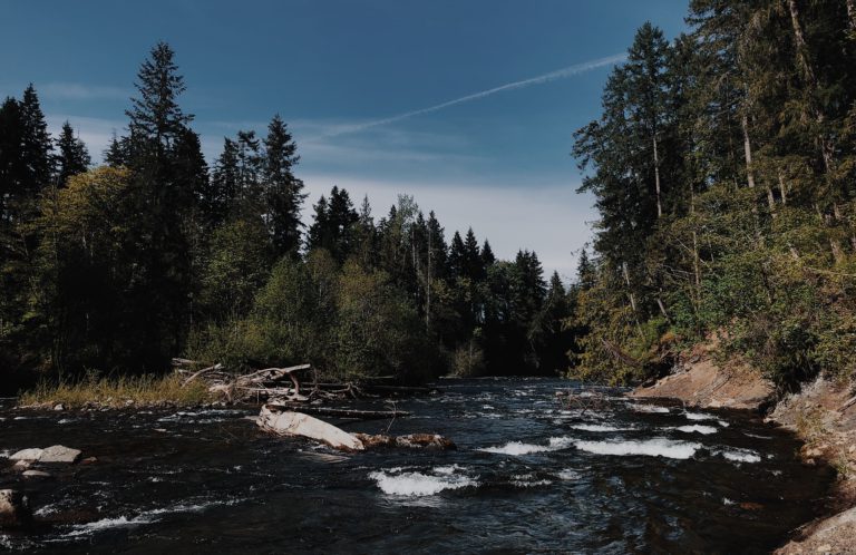 New online tool showcases the health of B.C.’s rivers