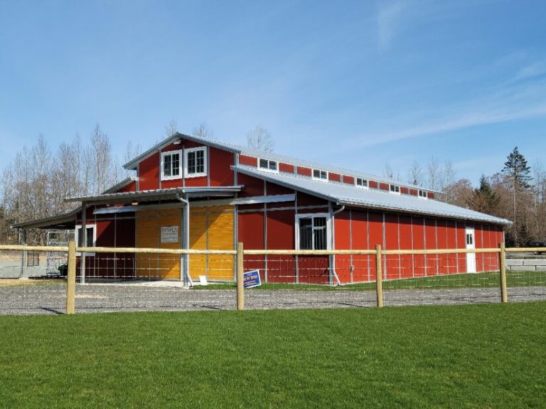 New recovery barn in Nanaimo takes in abused animals from across Vancouver Island