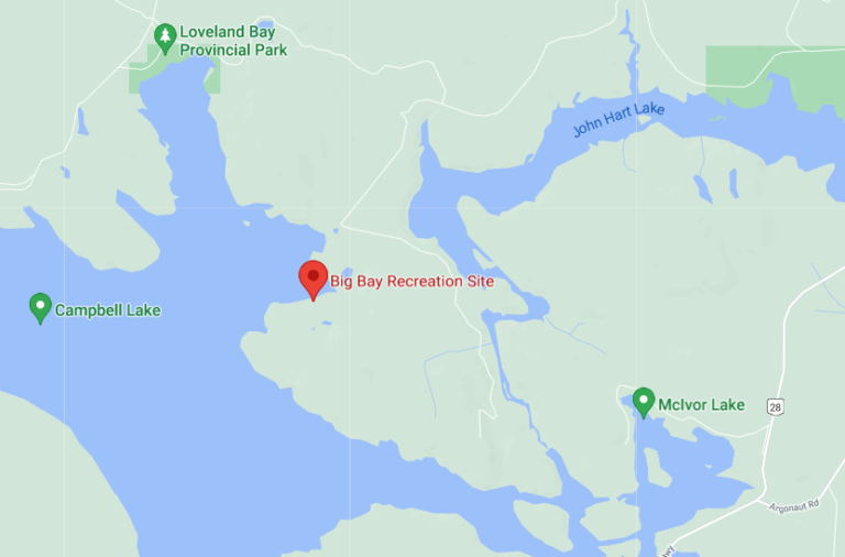 Headless black bear discovery leaves Campbell River man ‘horrified and disturbed’