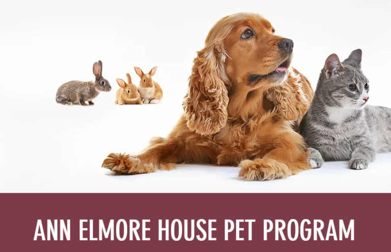 Ann Elmore Transition House expands, will now welcome pets