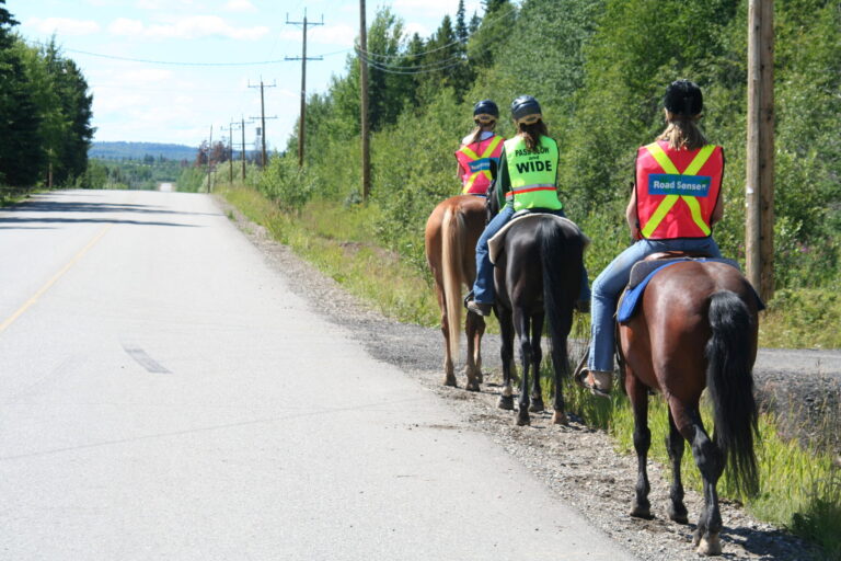 Equestrian group asking drivers to ‘hold their horses’ around riders