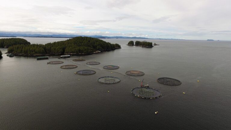 BC Salmon Farmers Association concerned over ‘short’ farm transition time frame