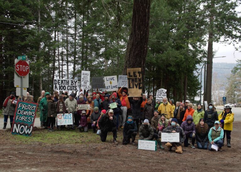 Some Denman Island residents protesting upgrades to BC Ferries terminal