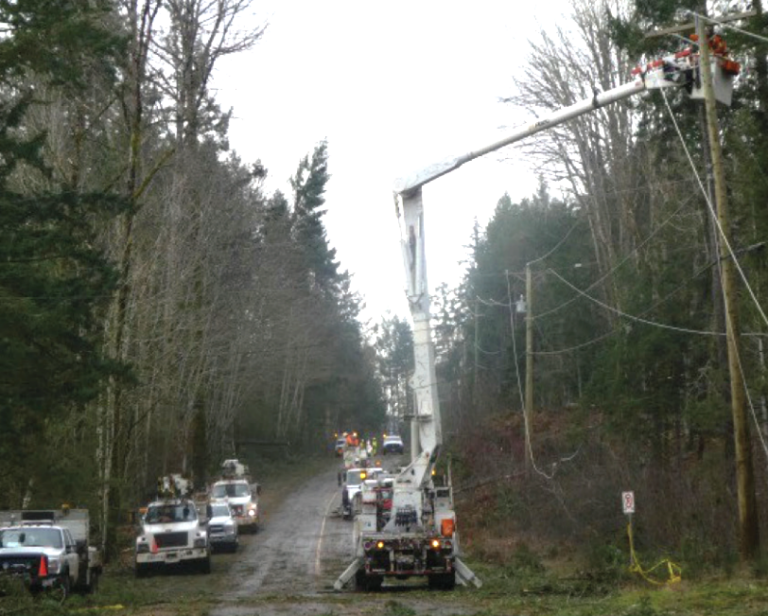 Environment Canada warns of high winds and possible power outages tonight