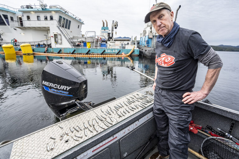 UPDATE: Sea lice treatments kill nearly 1 million herring in salmon farms