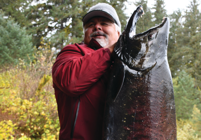 Salmon hatcheries in BC do little to help struggling wild stocks, review shows