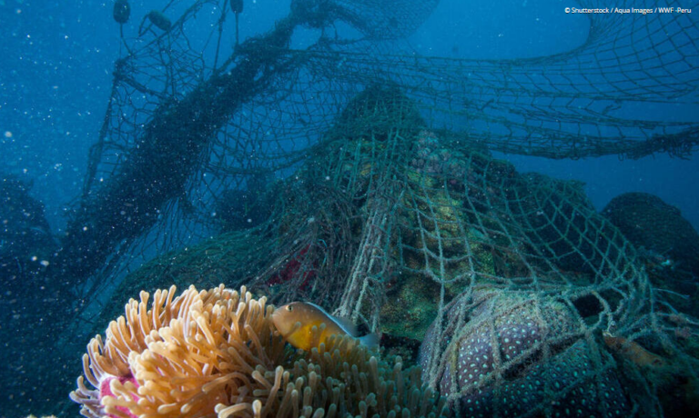 Canada hosting international forum on preventing fishing gear loss