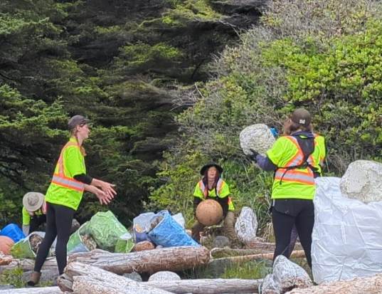 Visitors can get rewarded for helping clean up remote beaches