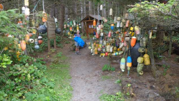 Living Oceans planning beach clean-ups at Cape Scott