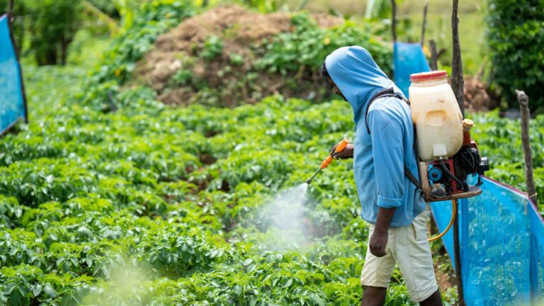 BC court approves class-action suit over herbicide link with Parkinson’s disease