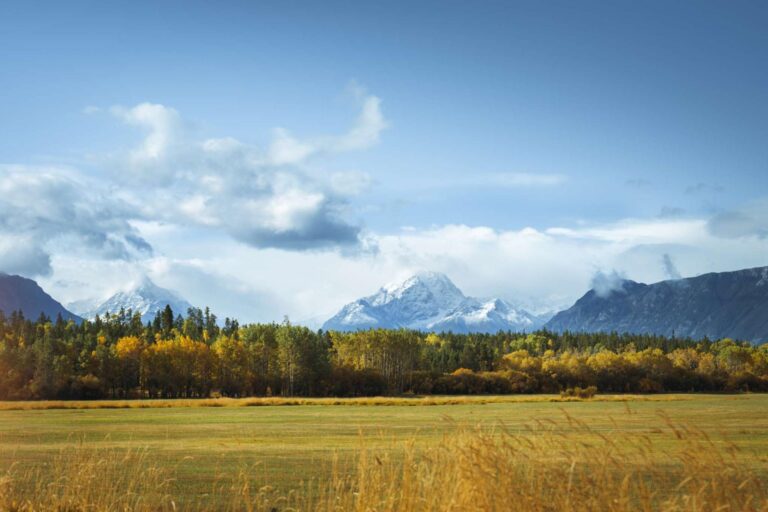 Chilcotin Ark: Protecting BC’s Natural Heritage