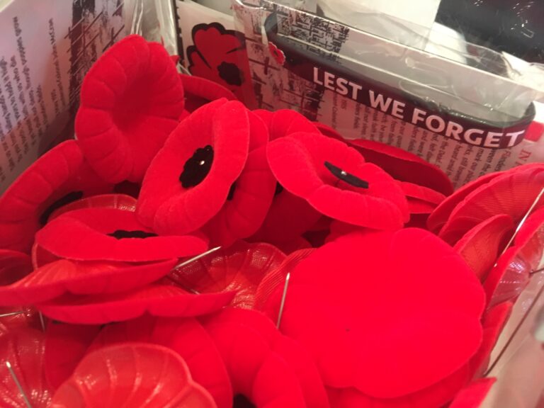 Ferries and buses will be free for veterans Remembrance Day