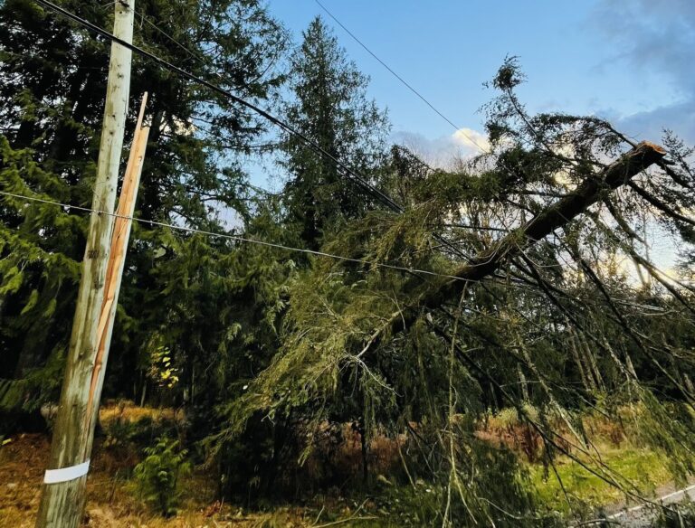 Windstorm causes power outages overnight