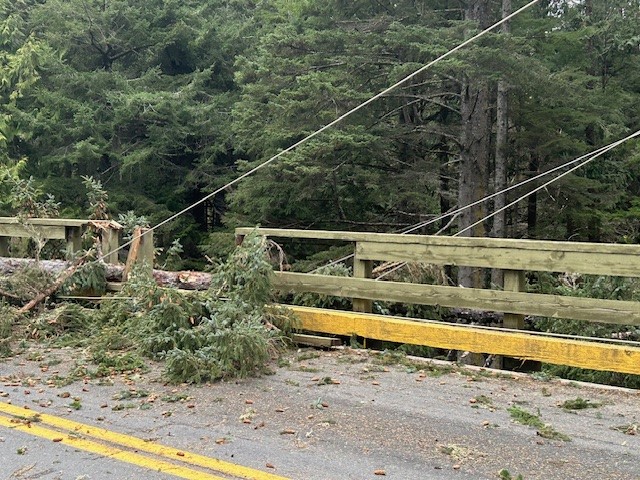 BC Hydro crews face challenges restoring power, some schools forced to close