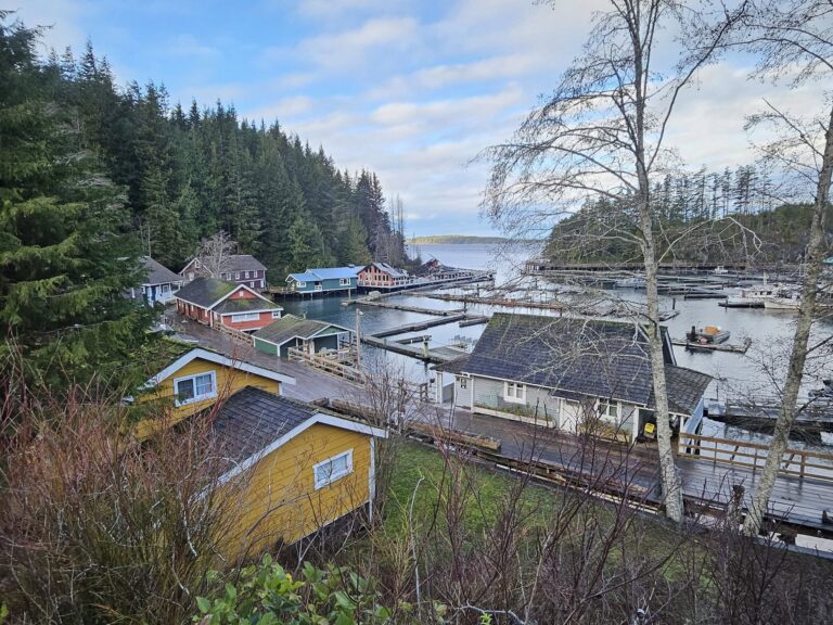 Telegraph Cove owners vow to rebuild after fire in time for tourism season